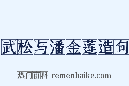 武松与潘金莲造句是什么意思的图片